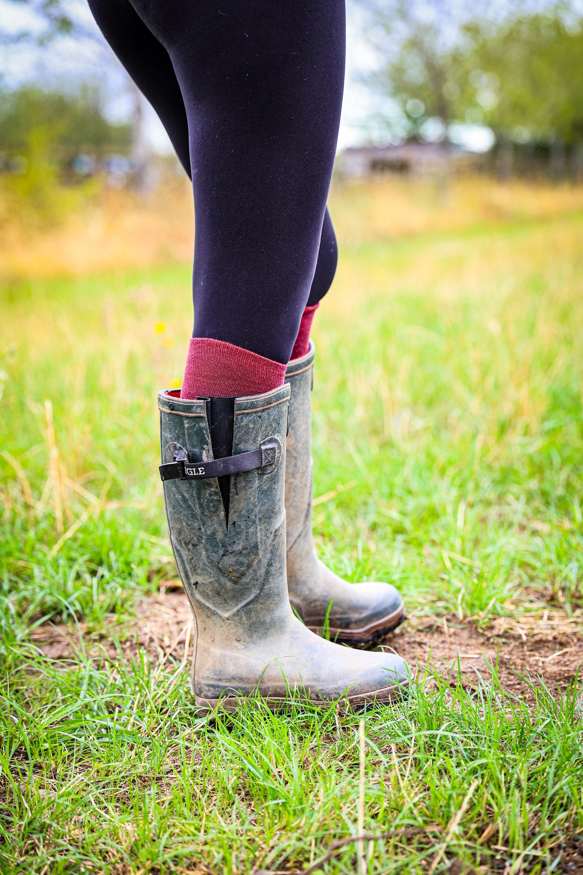 A close-up outdoor shot of a person wearing tall gray rubber rain boots with a black strap and buckle, paired with dark leggings and Soleberie Burgundy Classic Long Socks, standing in a grassy field.