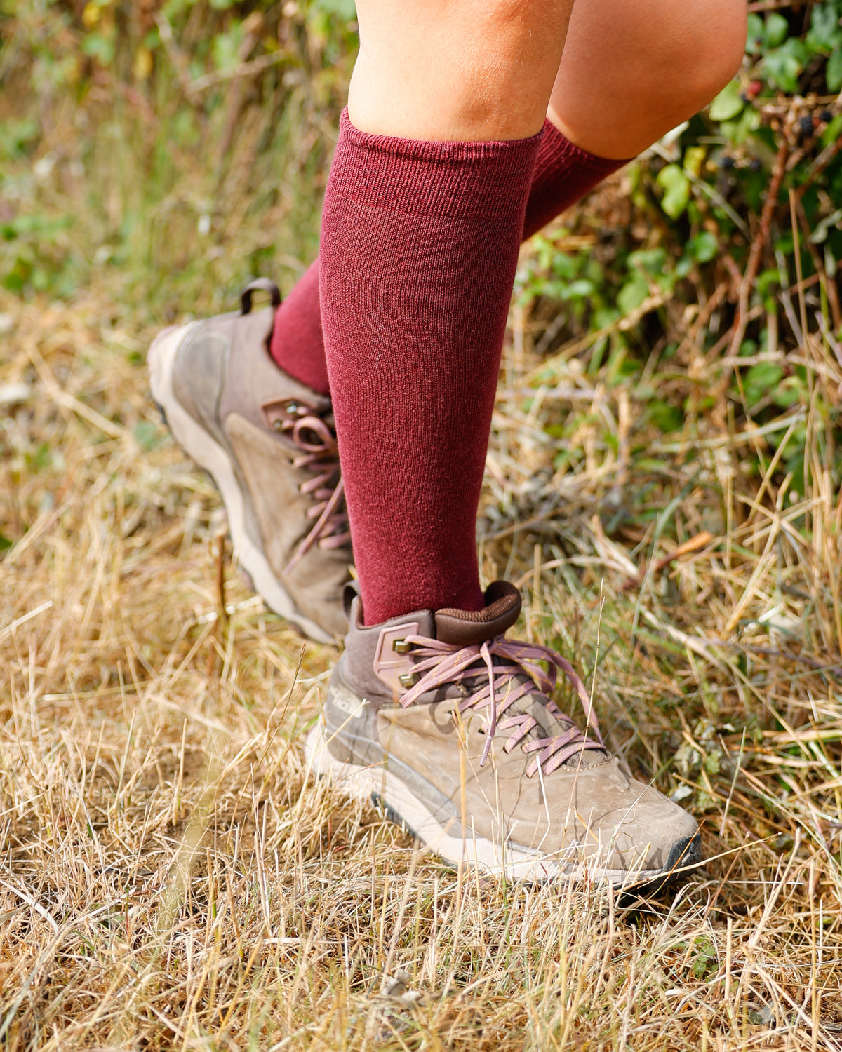 Burgundy Classic Long Socks
