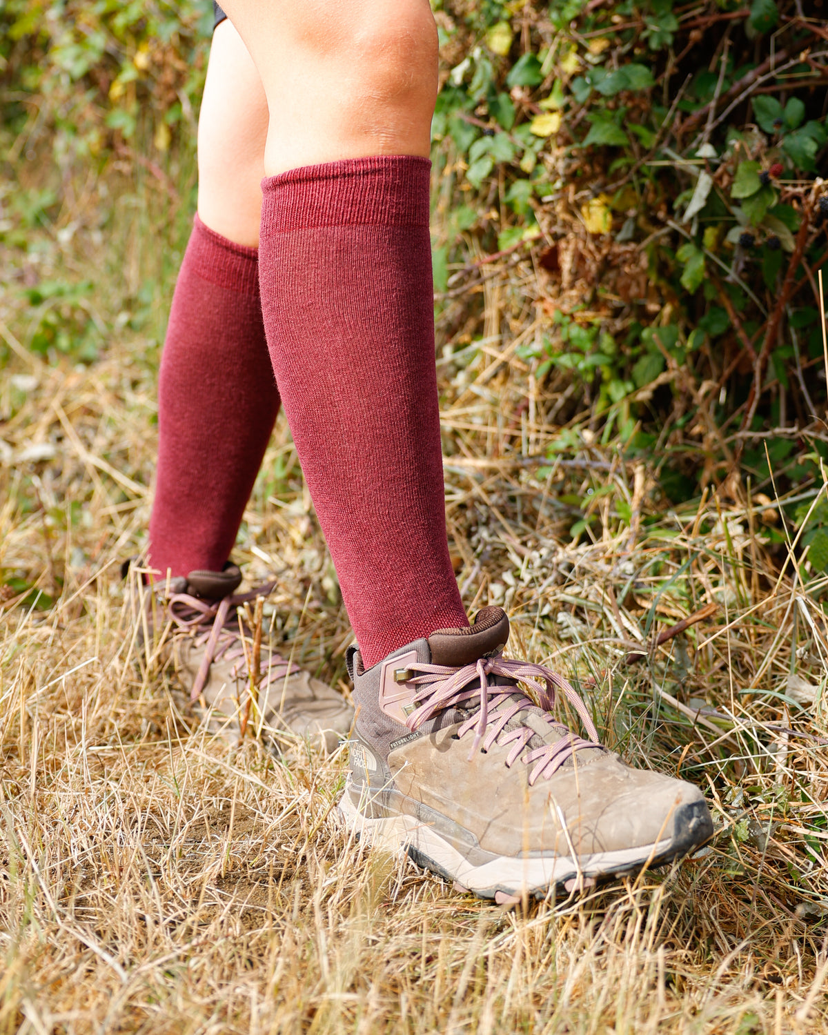 Burgundy Classic Long Socks